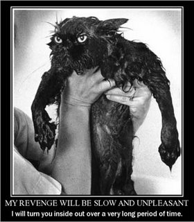 Found this somewhere.  It's so eloquent...